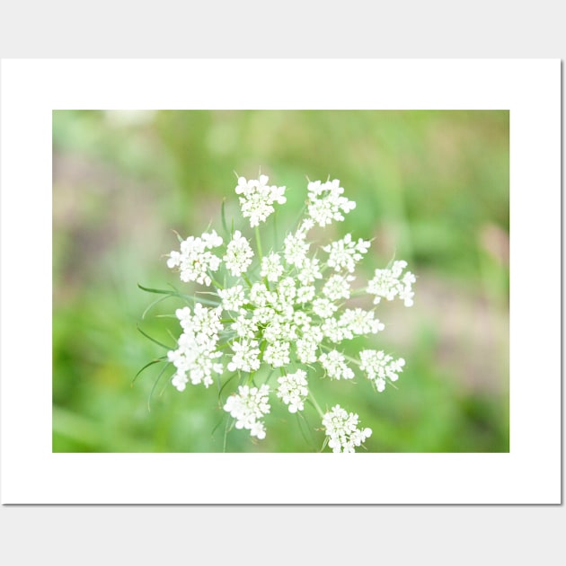 Small white flowers Wall Art by Beccasab photo & design